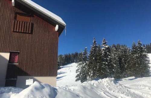 Appartement T2 col de Merdassier au pied des pistes - Photo 19