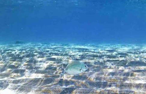 Mare e Montagna - Foto 30