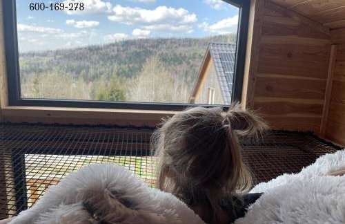 Modrzewiowe Domki w Koszarawie - Foto 1