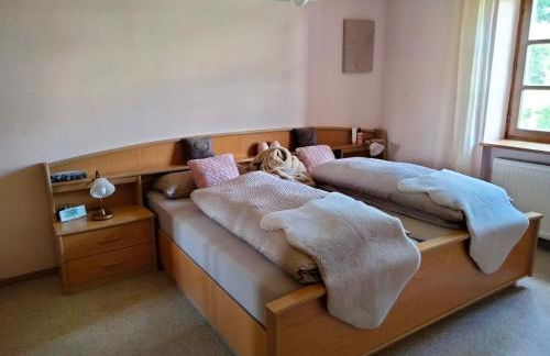 Apartments Angela - Foto 4