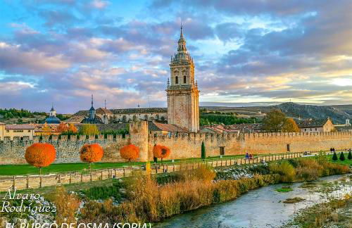 Apartamentos LA CAÑADA DE OSMA - Foto 51