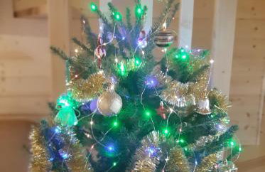 U Kazika w górach - Foto 31