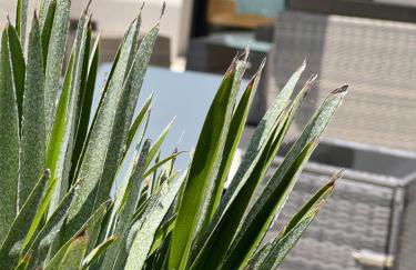 Location villa entre lac et océan avec son spa de nage - Foto 14