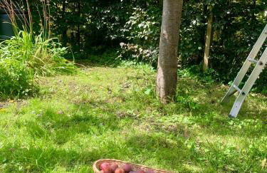 The Little Orchard - Foto 21