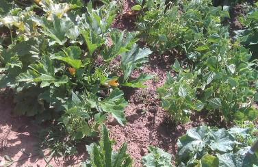 Agriturismo Torre Cristina - Foto 56