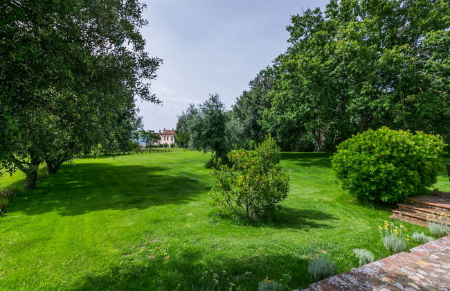 Ciliegiolo - Foto 48