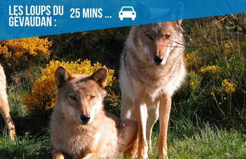 Le Roqueprins - Netflix/Wi-Fi Fibre/Terrasse - Foto 29