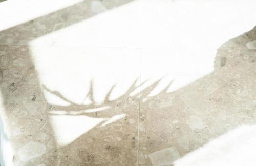 Apartamentos El Marinero - Casa del Simpático - Foto 33