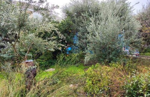 Giannis Gerakios apartments by climbing house - Photo 49