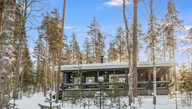 Joutsen - Photo 3, Inside other