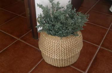 Refúgio d' Aldeia - Foto 15