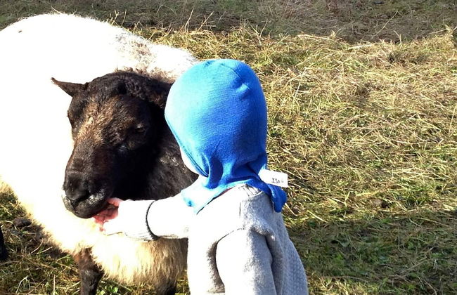 6 Person Holiday Home in Averoy-by Traum - Foto 33