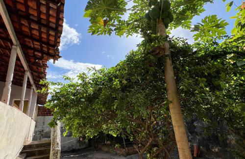 Durmaaquislz - Photo 42