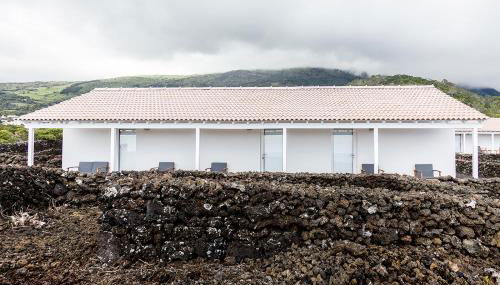 Insula Vinus Apartments - Photo 5