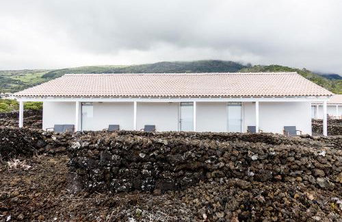 Insula Vinus Apartments - Photo 5