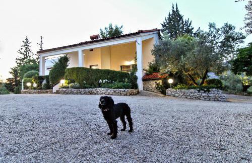 Villa Korina - Foto 64