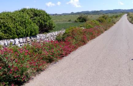 Villa Launa en Port d' Addaia - Foto 36