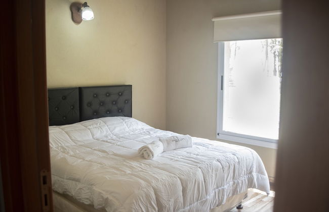 Olivos de Monte - Foto 3