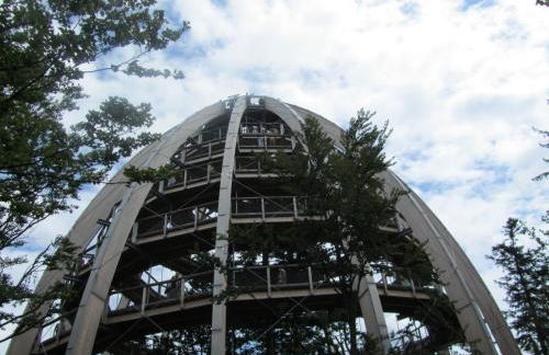 Ferienhaus Zopfhäusl - Foto 50