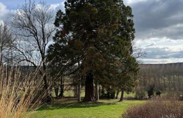 Villa HARMONIE - Foto 32