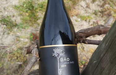 Quinta das Regueiras - Foto 15