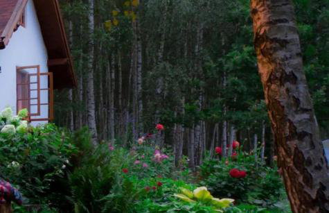 Siedlisko MiłoBrzózka - Photo 13