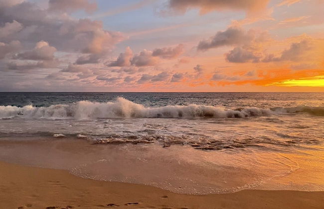 Atomic Tiki - Foto 21