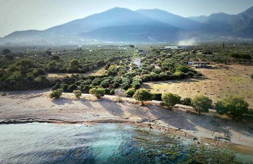 Olive Coast Houses - Photo 22