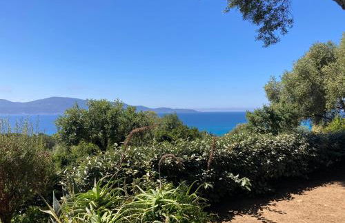 Ogliastrello - Foto 41