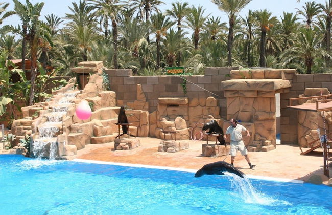 Apartamento Sergio - Foto 33