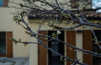 Agriturismo Conero - Foto 26