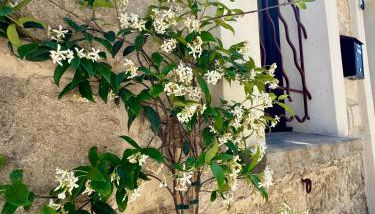 Maison de village rénovée ! - Photo 4