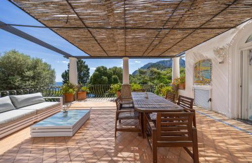 Oliveto Capri apartments - Foto 120