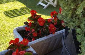 Aparta-Hotel Puertolas - Photo 29