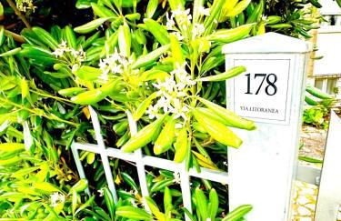 Conero casa- Marcelli di Numana in Via Litoranea 178 Fronte Mare con Pass Parcheggio Gratuito - Foto 19