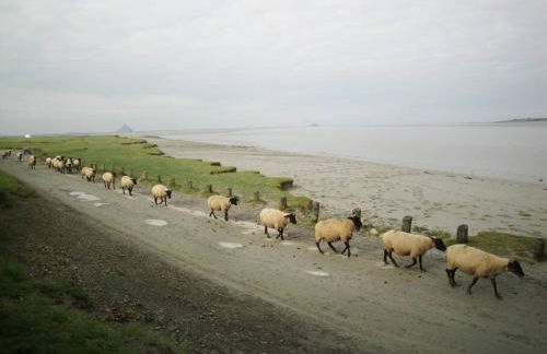 Cabane de douanier en baie du Mont Saint Michel hébergement insolite - Foto 35