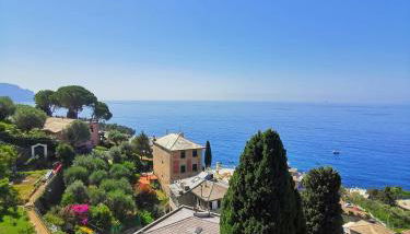 MareNostrum - Photo 3