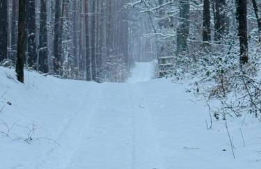 Relax Hütten & Spa Gröden - Foto 8