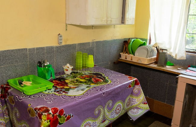 Casa de campo Los Yungas - Photo 10