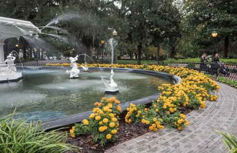 Lynwood Collection on Forsyth 6A by Lucky Savannah - Foto 37