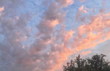 Le Mas d'Angèle - Foto 27