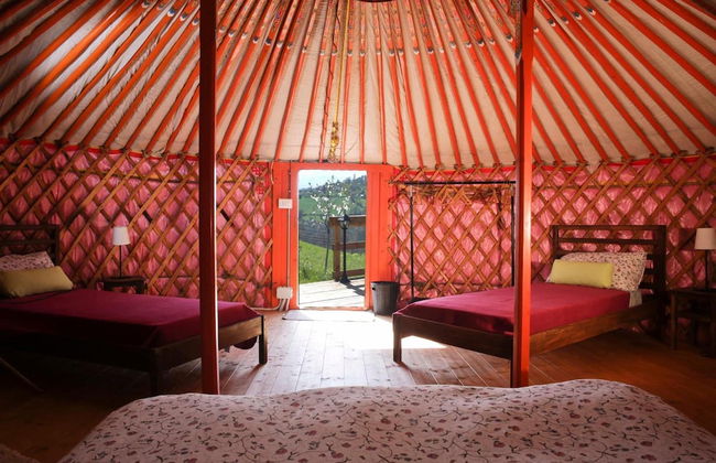 Società Agricola Cacigolara - Foto 9