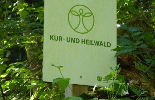 Ferienwohnung Stefi, magischer Ausblick, Schwimmbad-Sauna in Lahnstein - Foto 72