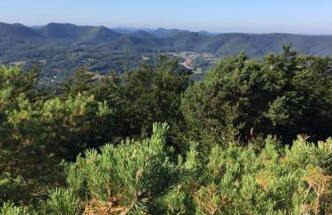 Ferienwohnung Burkhart - Foto 43