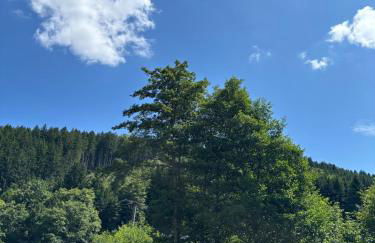 Ruhige Ferienwohnung im Schwarzwald - Foto 14