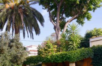 Casa Rural El Borbullón - Foto 43