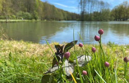 Maison chaleureuse avec grand jardin à 2h de Paris - Photo 6