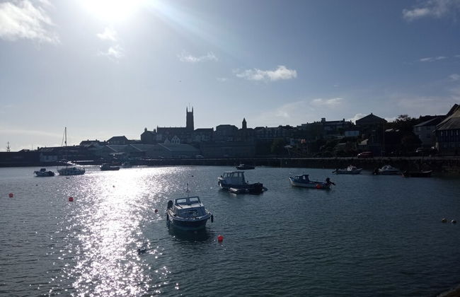 Ground Floor Cornish Retreat and Courtyard Garden - Foto 11