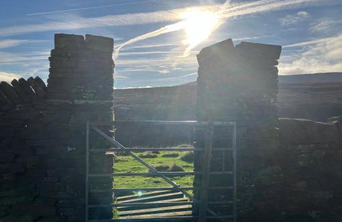 The Shearer's Hut - Photo 35