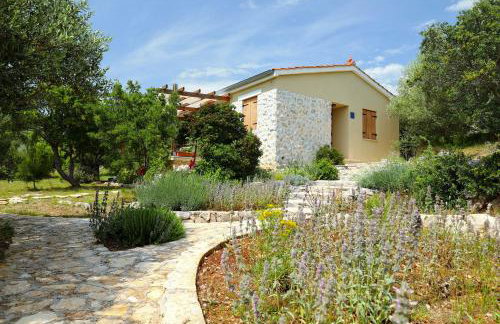 House Divna - Photo 18